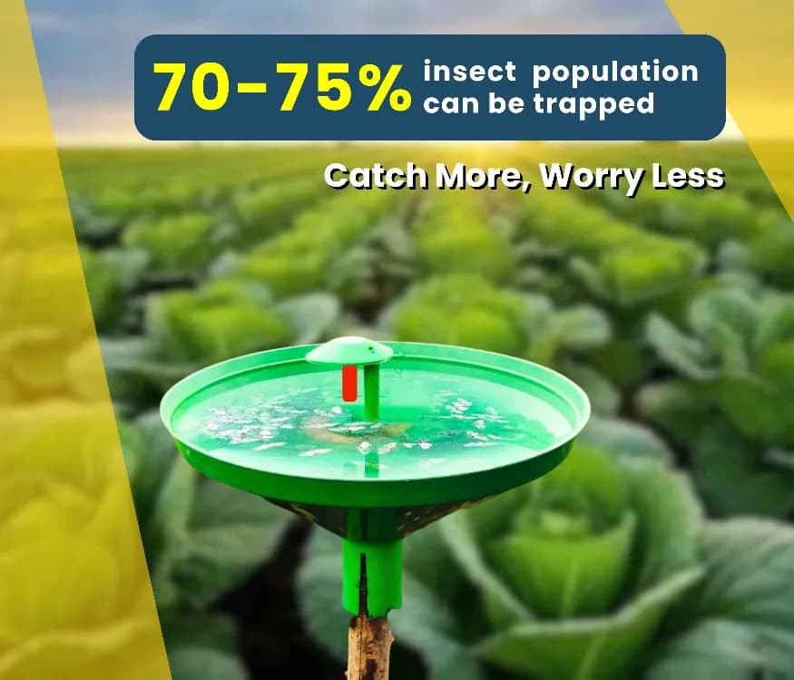 Chipku Pheromone Water Trap With Lure Plutella Xylostella To Catch Insect Diamond Black Moth (DBM) On Cabbage, Brocolli, Cauliflower Plants. - Image 4