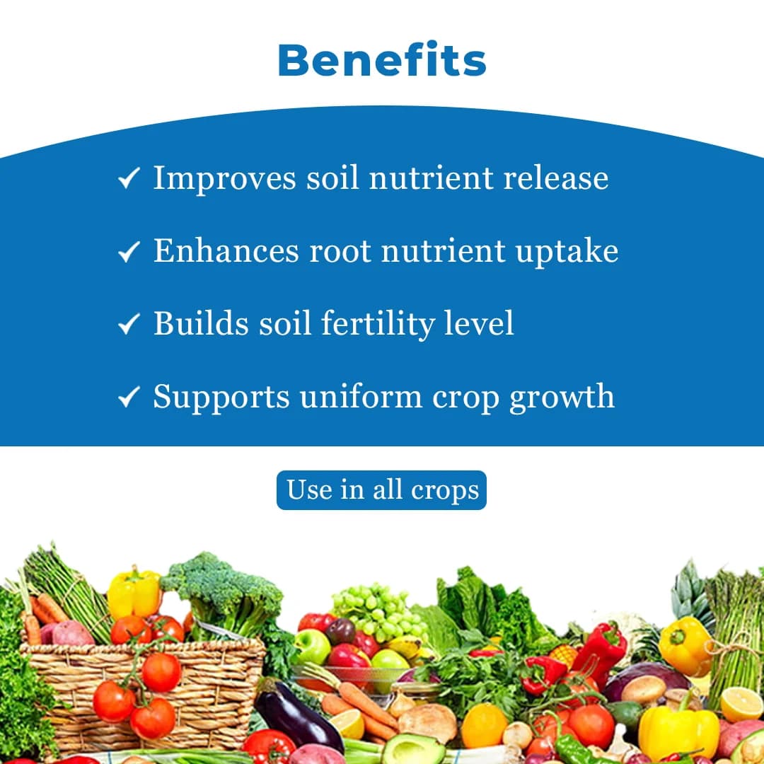 Dr. Bacto\'s Glucon, Nitrogen Fixation In Roots, Stems And Leaves of Sugarcane Plant, Promotes Root Proliferation And Increases Nutrient Uptake - Image 4