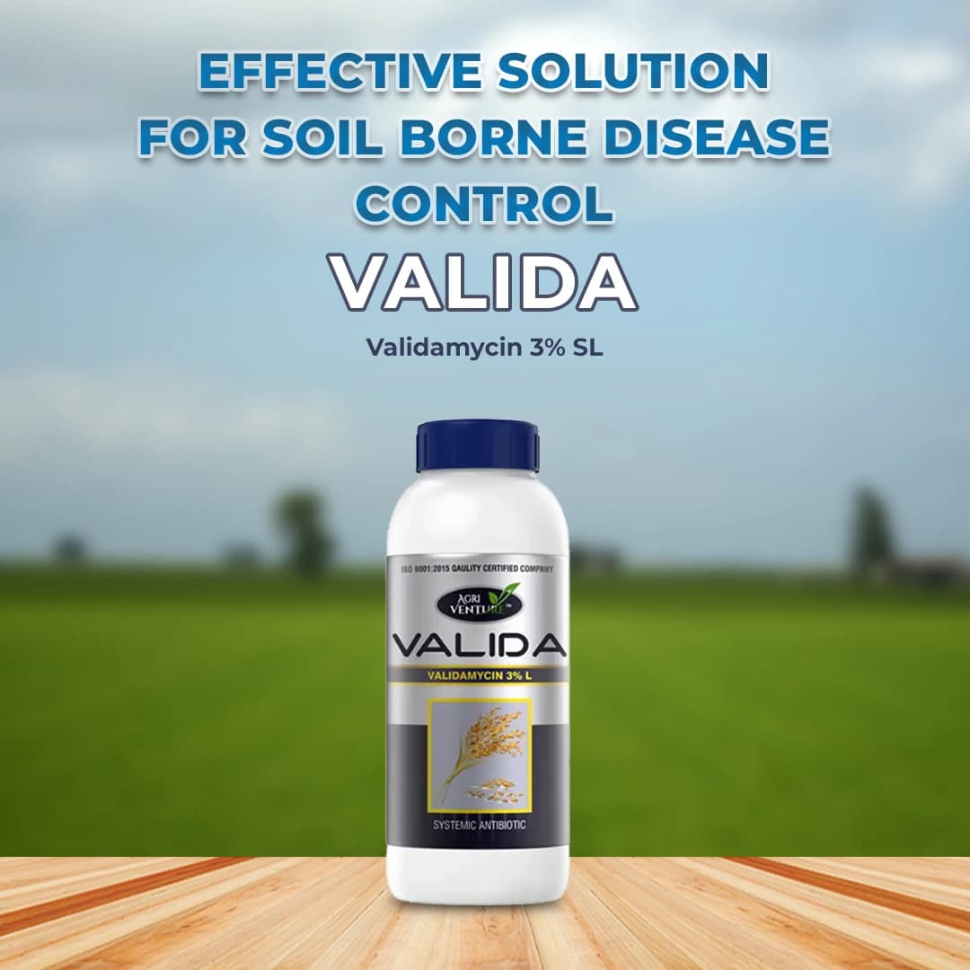Agriventure Valida - Antibiotic Fungicide - Image 2