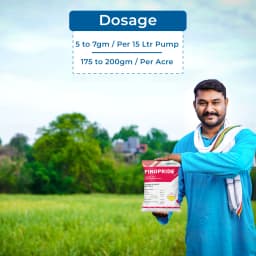 Finopride Insecticide - Fipronil 40% + Imidacloprid 40% WG 5