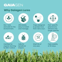 Gaiagen Fall Army Worm Pheromone Lure For Spodoptera Frugiperda And Insect Funnel Trap, IMO Certified 8