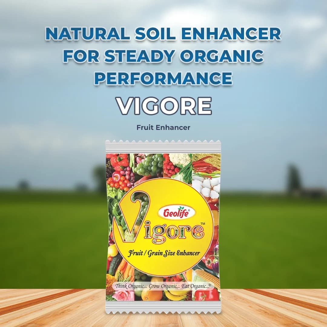 Geolife Vigore - Fruit & Grain Size Enhancer - Image 2