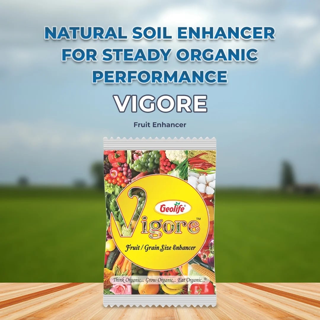 Geolife Vigore Fertilizer - Fruit & Grain Size Enhancer
