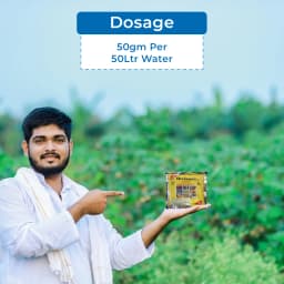 Aries Chelamin Plus Chelated Zinc EDTA Zn 12% Micronutrient Fertilizer Useful for Fulfil Zinc Deficiency. 5