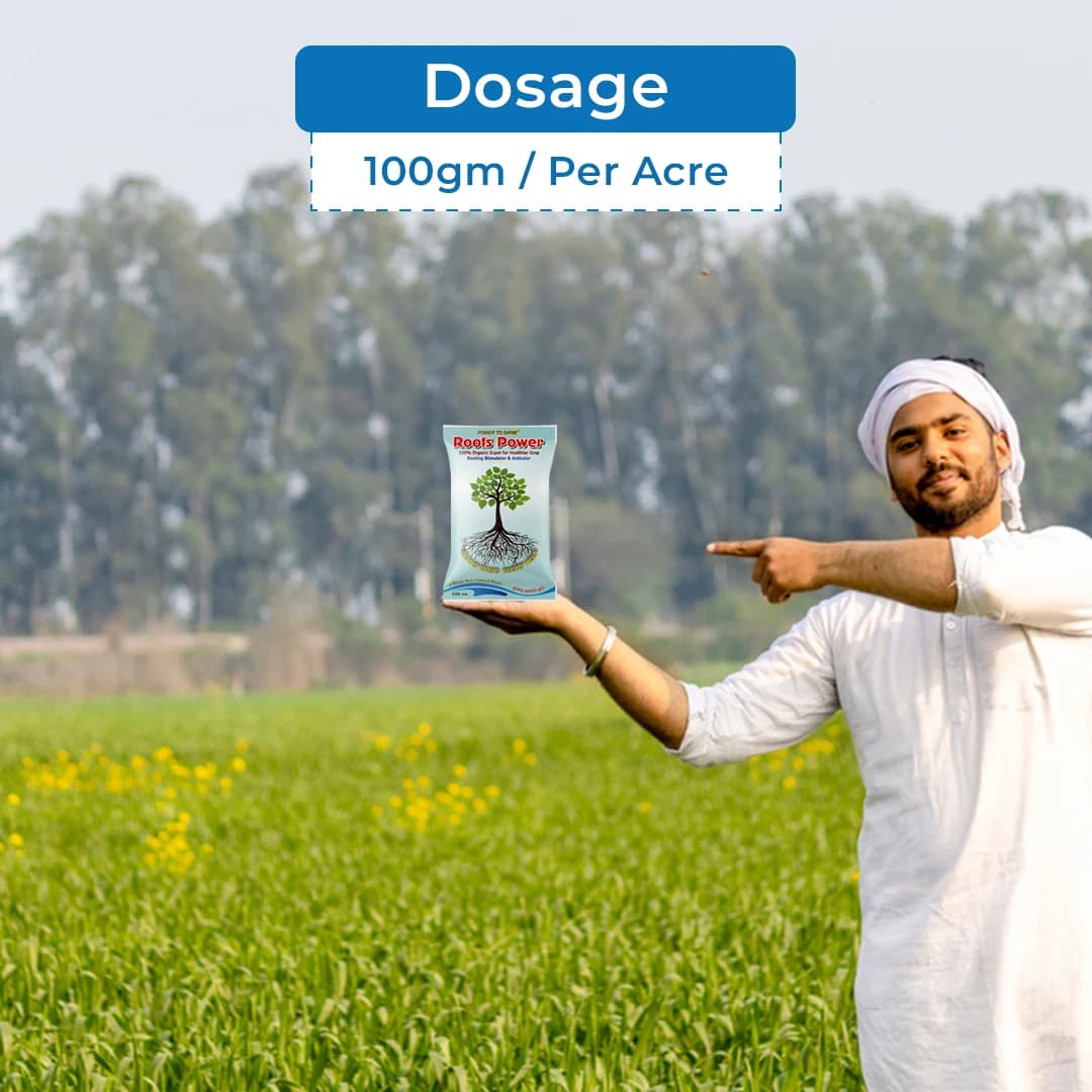 Roots Power - Rooting Stimulator & Activator - Image 5