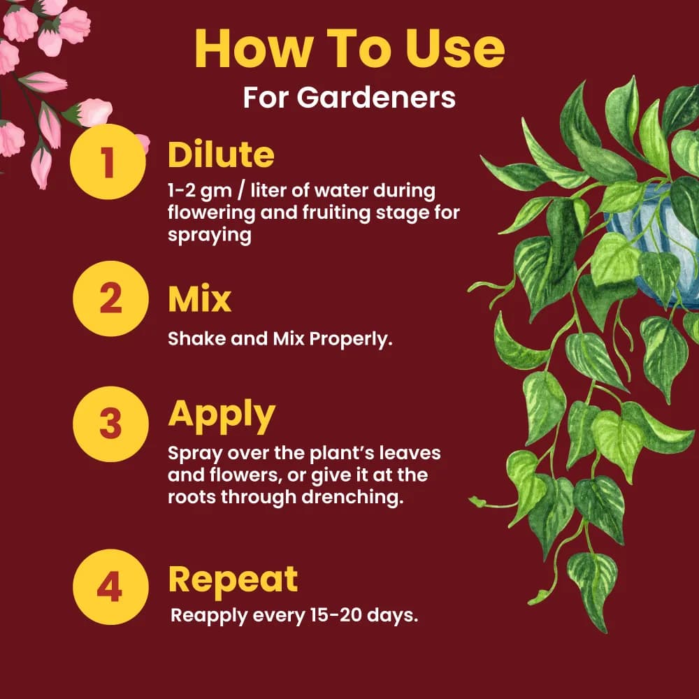 Utkarsh FeGro (Iron- Fe-12% EDTA Chelated) (100% Water Soluble Foliar Spray), Stimulates and Regulates Enzyme Reactions for the Growth - Image 7