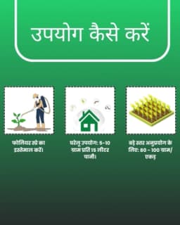 Katyayani Thioxam Thiamethoxam 25%WG Insecticide for Plants and Home Garden control for Sucking Pests Leaf Folder Paddy Whitefly Thrips In Rice Cotton 5