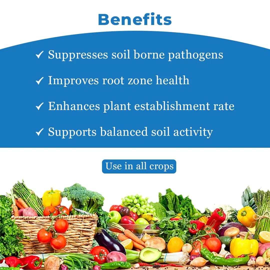 ROM Trichoderma Liquid Bio-Fungicide - Image 4