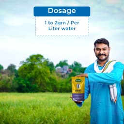 Katyayani Micronutrient Iron EDTA Fe 12% EDTA Fertilizer For Plant And Overall Development. 5