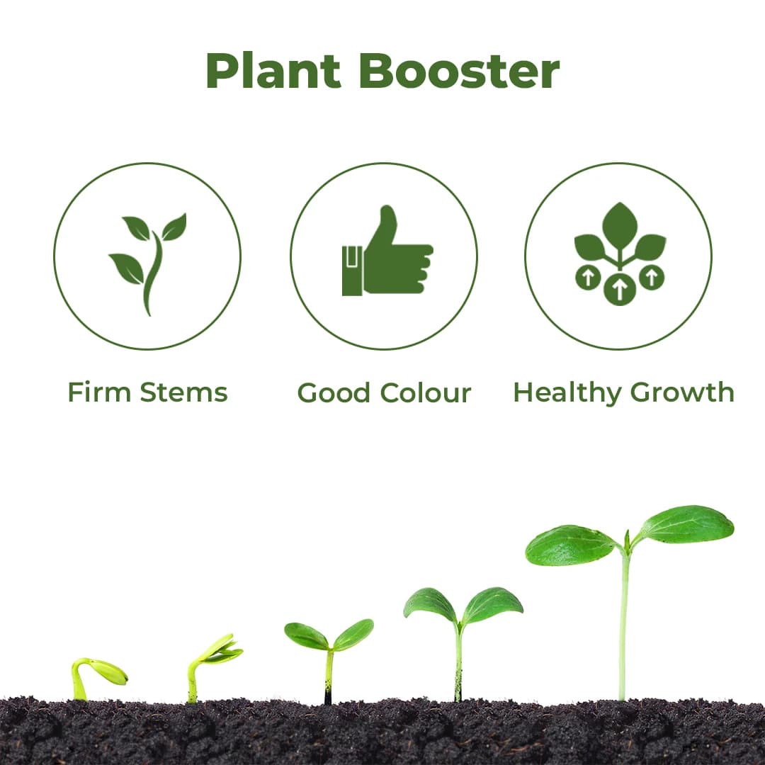 Anand Tough Fight 90% Powder Combination of Active Phosphorus And Potash, Helps In Increasing Yield. - Image 3