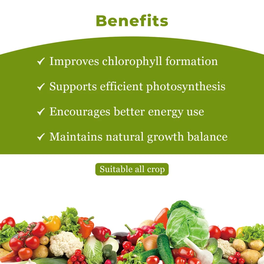 GACIL Calcium Magnesium Nitrate Liquid Micronutrient Fertilizer for Plant Growth - Image 4