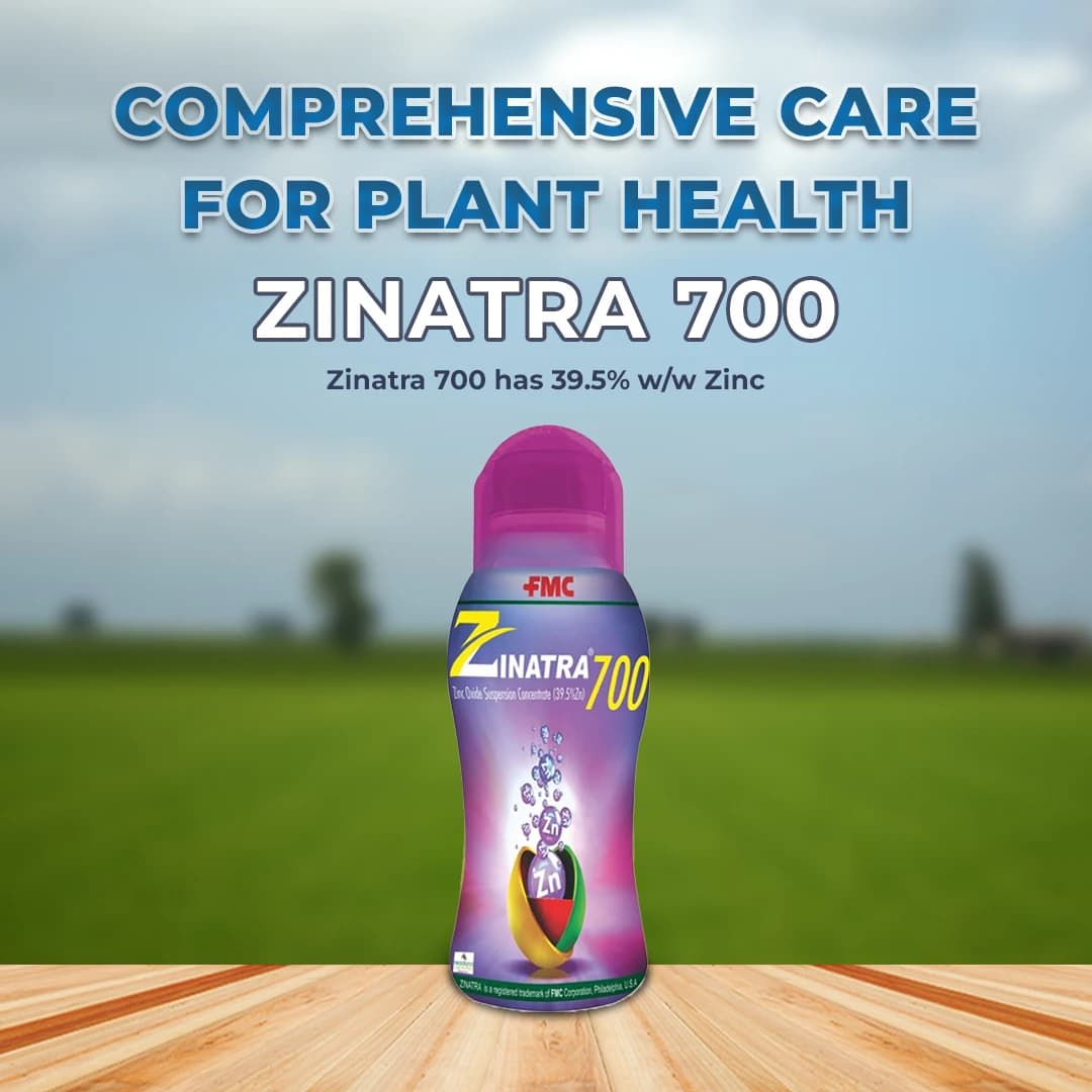FMC Zinatra 700 (Zinc Oxide Suspension Concentrate 39.5% ww Zinc) , Provides More Zinc To Plants Compared To Traditional Zinc Formulations - Image 2