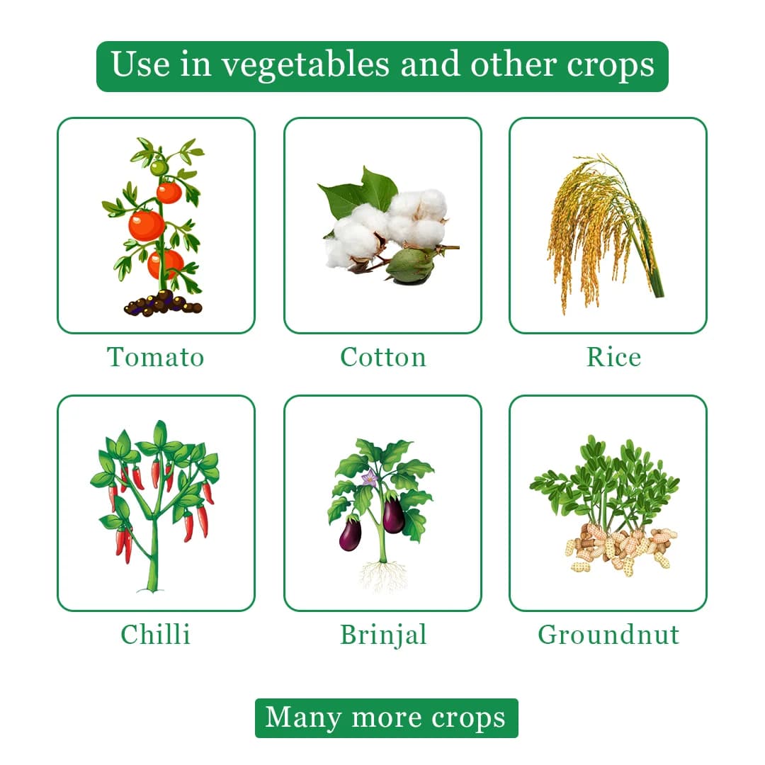 NCS Lamor Pro Insecticide - Lambda Cyhalothrin 5% EC - Image 4