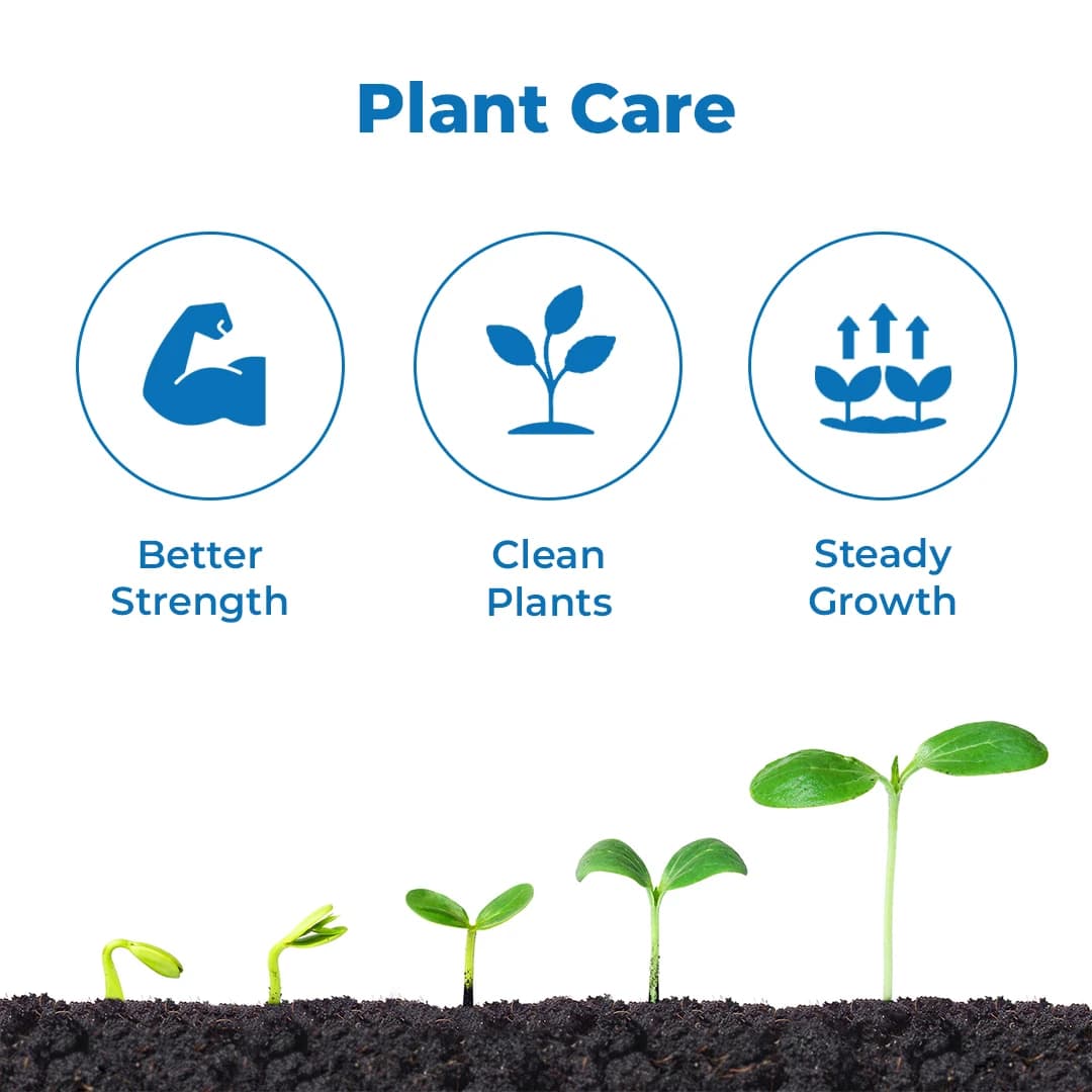 Dr.Bacto\'s Telya Kill, Unique Mixture Of Various Essential Bacterial And Fungi, Pomegranate Special. - Image 3