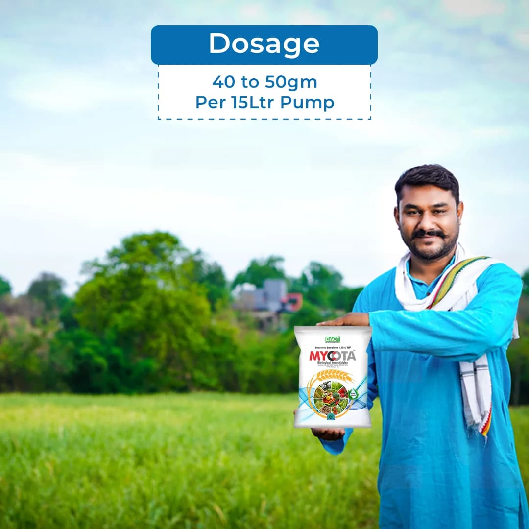 BACF Mycota Beauveria Bassiana 1.15% WP Bio Pesticide, Best For Cattle Piller, Grubs, Whitefly. - Image 5