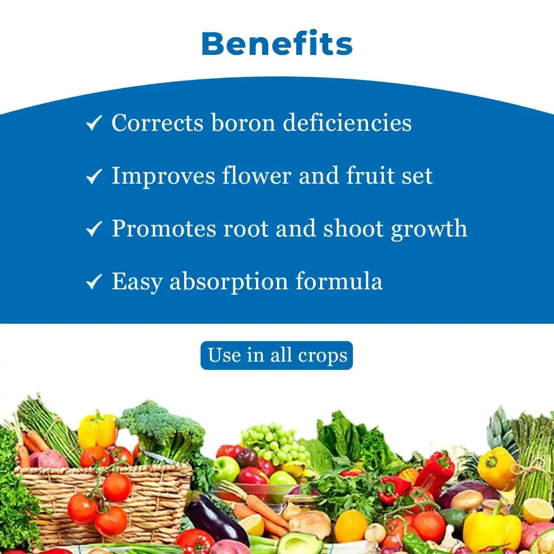 Jaipur Bio Fertilizers Boro Power Boron Ethanolamine 10% EC Suspension Concentrate For Plants. - Image 4