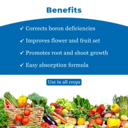 Jaipur Bio Fertilizers Boro Power Boron Ethanolamine 10% EC Suspension Concentrate For Plants. 4