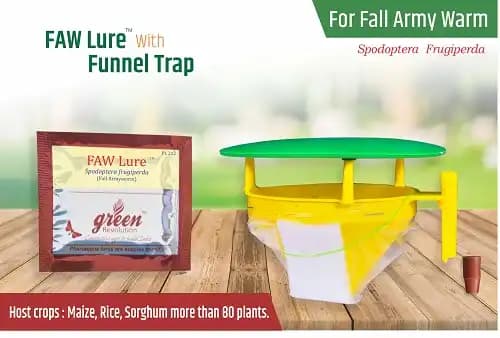 Funnel Trap With FAW (Fall Army Worm or Spodoptera frugiperda Pheromone Lure) for Maize, Rice, Sugarcane and Other Crops. - Image 8