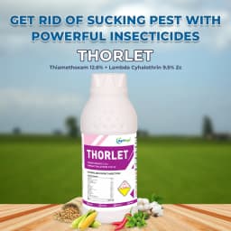 Thorlet - Thiamethoxam 12.6% + Lambda Cyhalothrin 9.5% Zc, Best Systemic Insecticide for Effective Control Against Sucking Pests 2
