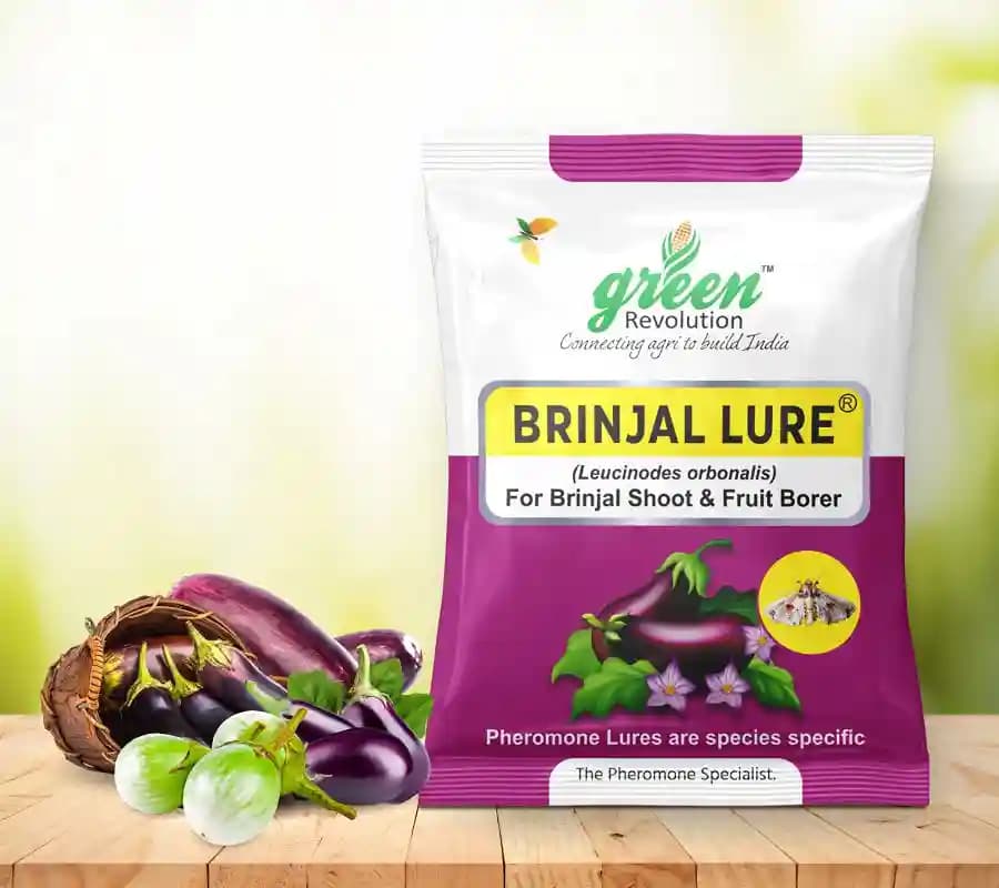 Water Pheromone Trap with Brinjal Lure (Leucinodes Orbonalis) For Brinjal Fruit and Shoot Borer Insect. - Image 2