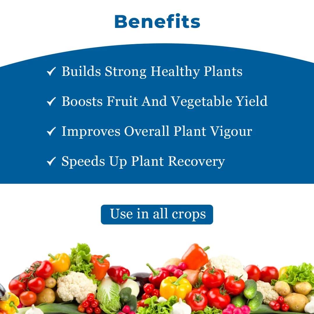 EBS Amino Acids 80% Powder Plant Growth Enhancer, Improved Yield, Growth Booster For Fruit and Vegetables - Image 5