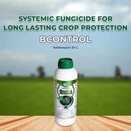 Bacf Bcontrol Fungicide - Validamycin 3% L 2