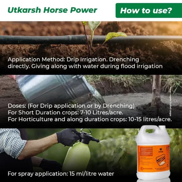 Utkarsh Horse Power (Ammonium Polyphosphate Fertilizer NPK 10:34:00), For Quick Maturity of Stem and Trunk of Plants and Trees - Image 4