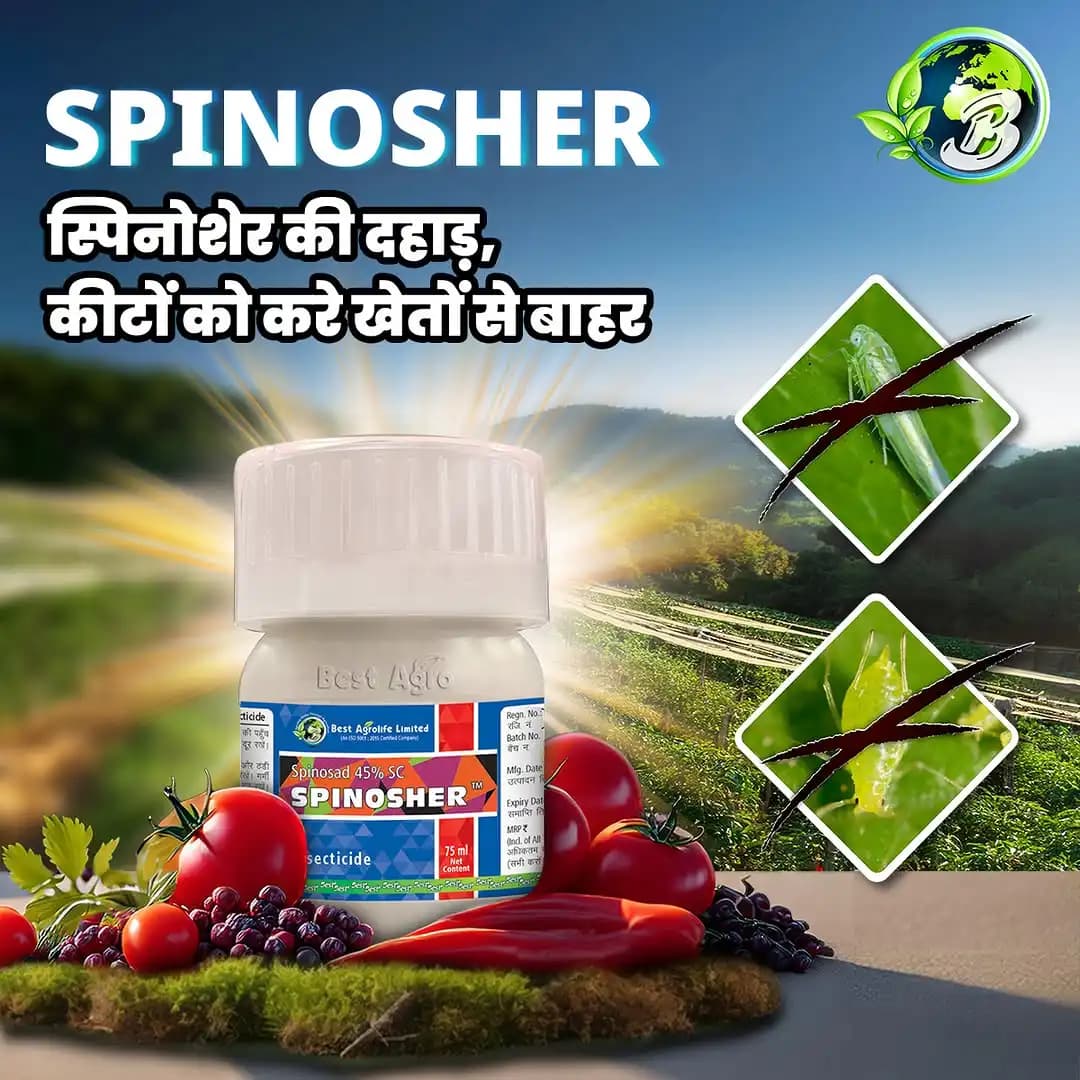 Best Agrolife Spinosher Spinosad 45% SC Insecticide, Effective Control Of Bollworm, Borer & Thrips In Cotton, Chillies, And Red Gram - Image 2