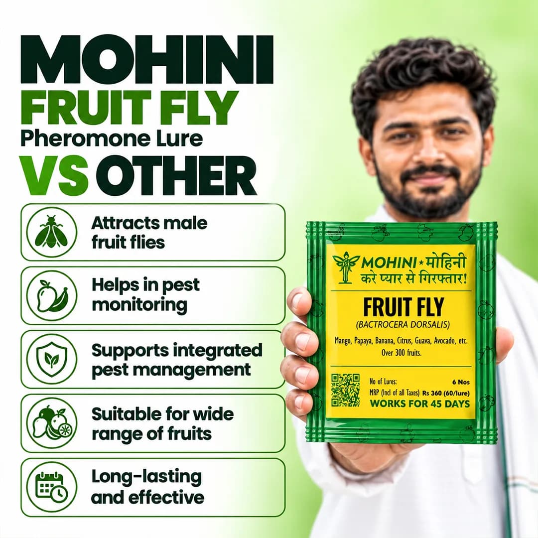 Biowall Mohini Fruit Fly Bactrocera Dorsalis, Pheromone Lure For Effective Pest Management - Image 4