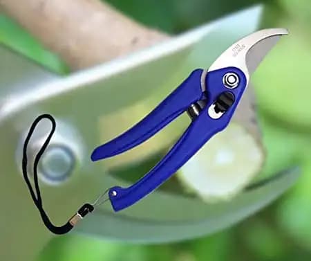 Garden Shears Pruners Scissor (Multicolor) Pruner 8 Inc, With Safety Lock, Durable And Long Lasting Material - Image 3
