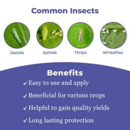 Thiolt-70 Insecticide - Thiamethoxam 70% WS 3