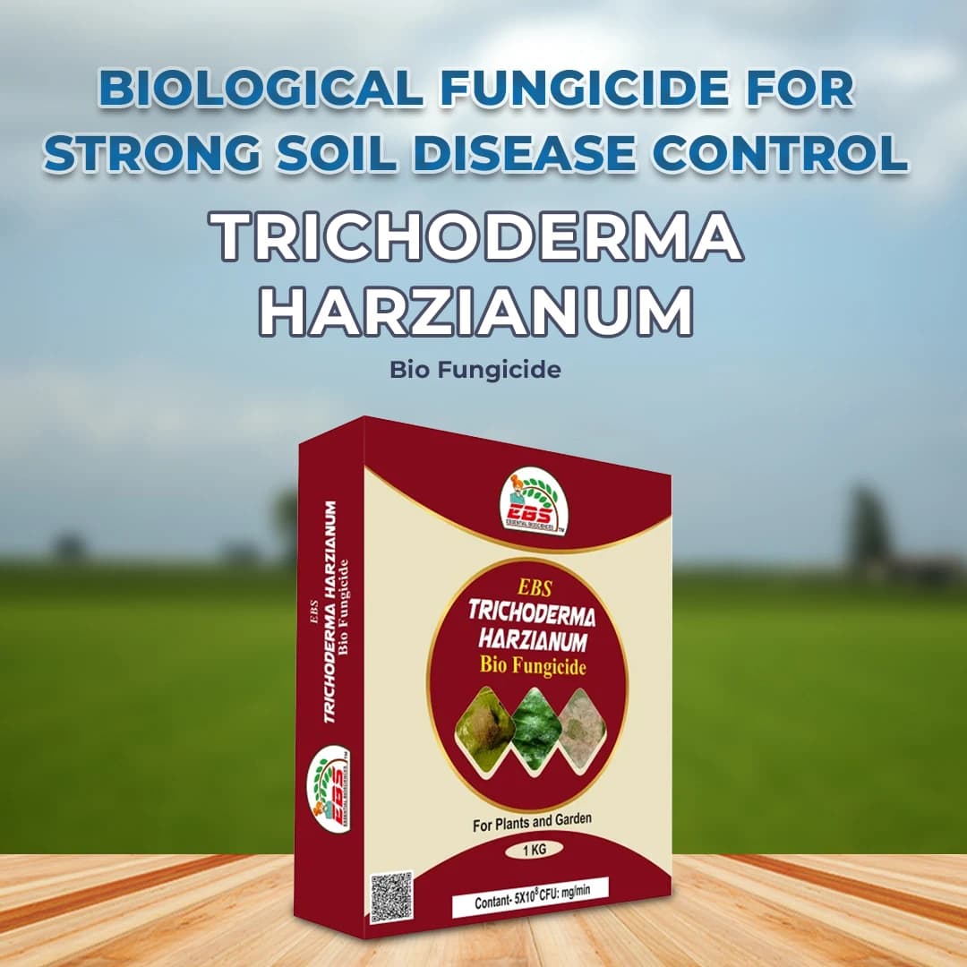 EBS Trichoderma Harzianum Bio Fungicide, Used As a Fungicide and Biological Fertilizer - Image 2
