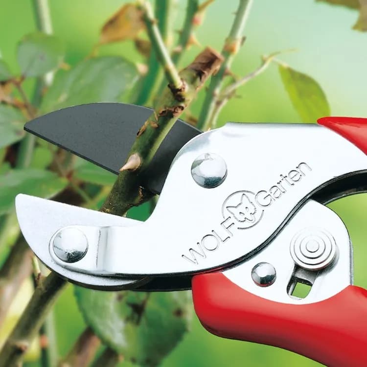 Wolf Garten Action Secateurs Set (RSEN RREN), Steel Anvil And Bypass Garden Shear Set, Garden Tool - Image 3