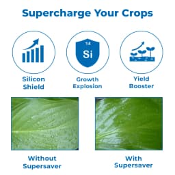 SuperSaver (Silicon-Based Technical Penetrates and Spreader) Excellence Spreader 3