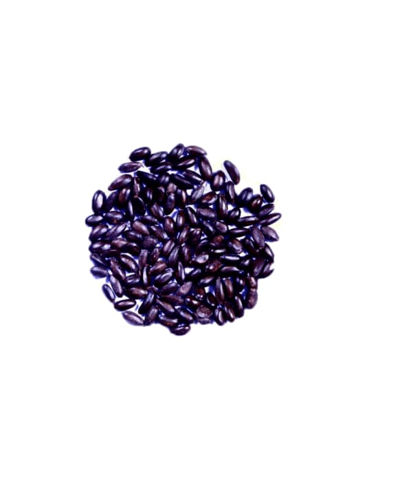 Annona Squamosa Seeds Custard Apple Seeds, Sitaphal Seeds, Excellent Quality Seeds - Image 1