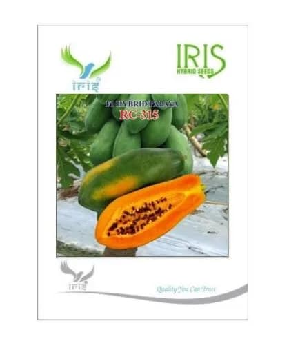 Iris Hybrid Fruit Seeds RC-315 F1 Hybrid Papaya, High Yield, Round Shape, Red Color Flesh. - Image 1