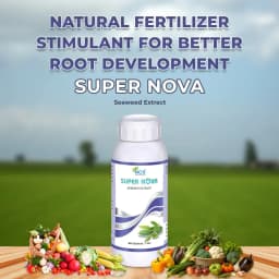 Super Nova - 100% Natural Seaweed Extract Bio-Stimulant, Improves Root Development, Specialized Bio-Fertilizer for All Crops 2