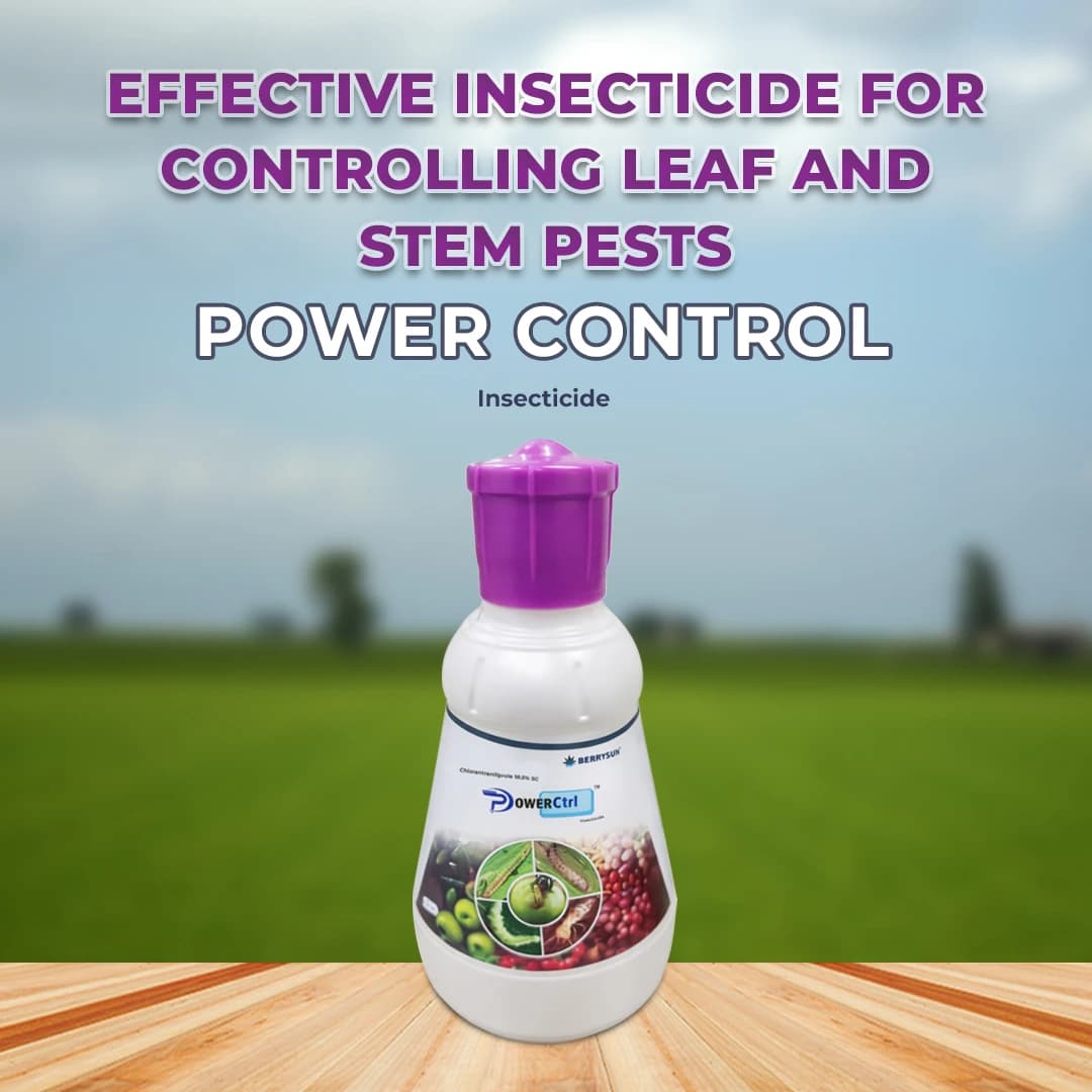 Berrysun Power Control Insecticide - Image 2