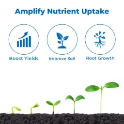 TUBORA - Fulvic Mineral And Nutrient For Better Immunity Of Plant And Leaves 3