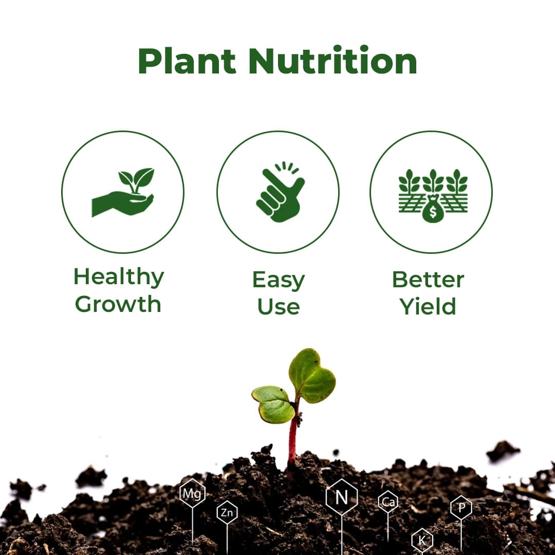 Sugarcane Special Liquid Micronutrient Mixture Fertilizer Enriched with Essential Micronutrients like Zinc, Ferrous, Boron, Copper And Manganese. - Image 3