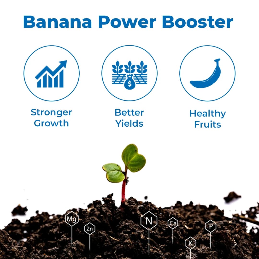 Agroveer Banana Special Booster, ICAR Patented Product, Contains Primary Nutrients, Secondary Nutrients And Micronutrients. - Image 3