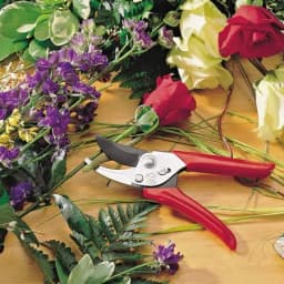 Wolf Garten Action Secateurs Set (RSEN RREN), Steel Anvil And Bypass Garden Shear Set, Garden Tool 4