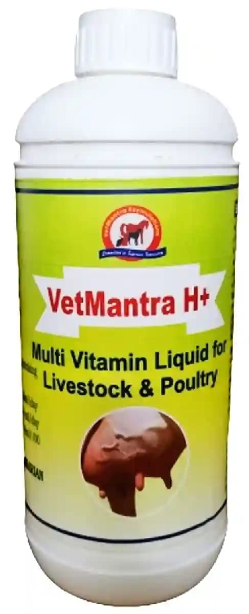 वेटमंत्रा एच+ - मल्टीविटामिन, विटामिन ए, विटामिन डी3, विटामिन ई, सेलेनियम (खनिज मिश्रण) - Image 1