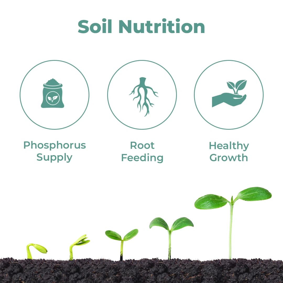 EBS PSB Phosphate Solubilising Bacteria Bio Fertilizer beneficial to pulses and useful in all crops and under all climates - Image 3