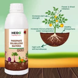 HEDO Phosphate Solubilizing Bacteria Liquid Bio Fertilizer, For Agriculture, Garden, Soil Fertility And Plant Nutrition. 5