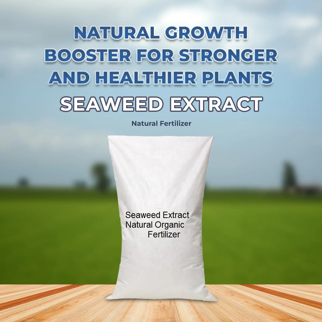 NCS Seaweed Extract Powder - 25KG Bag - Image 2