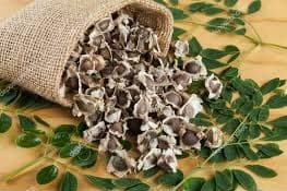 S.K. International PKM-2 Moringa Seeds - Drumstick Seeds - Image 7