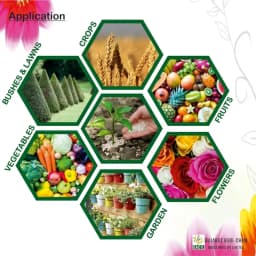 GACIL Multi-Micronutrient Liquid Fertilizer, Plant Growth, Essential Trace Elements For Gardens, Lawns And Greenhouses 4