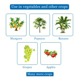 Barrix Catch Fruit Fly Trap Set , Pheromones Trap and Lure, Can Be Used For Fruit And Commercial Crops, Bactrocera dorsalis. 4