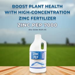 Titan Agritech ZINC PEP 7000, Zinc Oxide 39.5% SC, 100% Water Soluble Fertilizer for Plants and Garden, Liquid Formulation for Cereal, Cotton, Potato 2